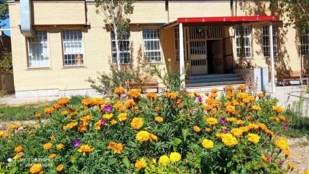 محوطه ی کتابخانه